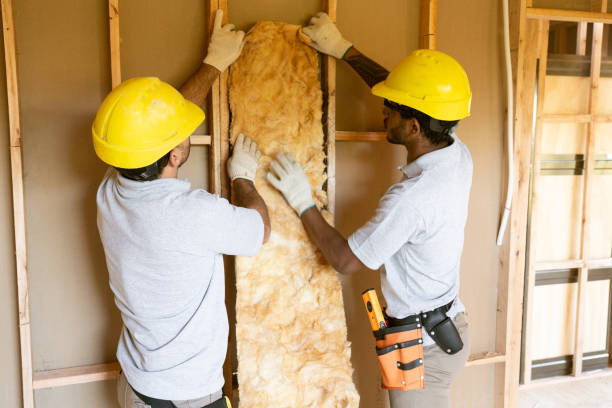 Best Basement Insulation  in Justice, IL